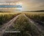 Programma Mindfulness Pordenone