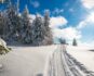 Appuntamenti Mindfulness 2020
