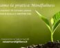 Coltiviamo la Pratica Mindfulness a Mestre Inizio 28 Gennaio