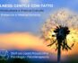Mindfulness Gentile Contatto Evento Gratuito Online e a Mestre/Venezia