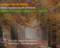 Mindfulness Primi Passi Corso Online e a Mestre