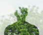 terapia forestale