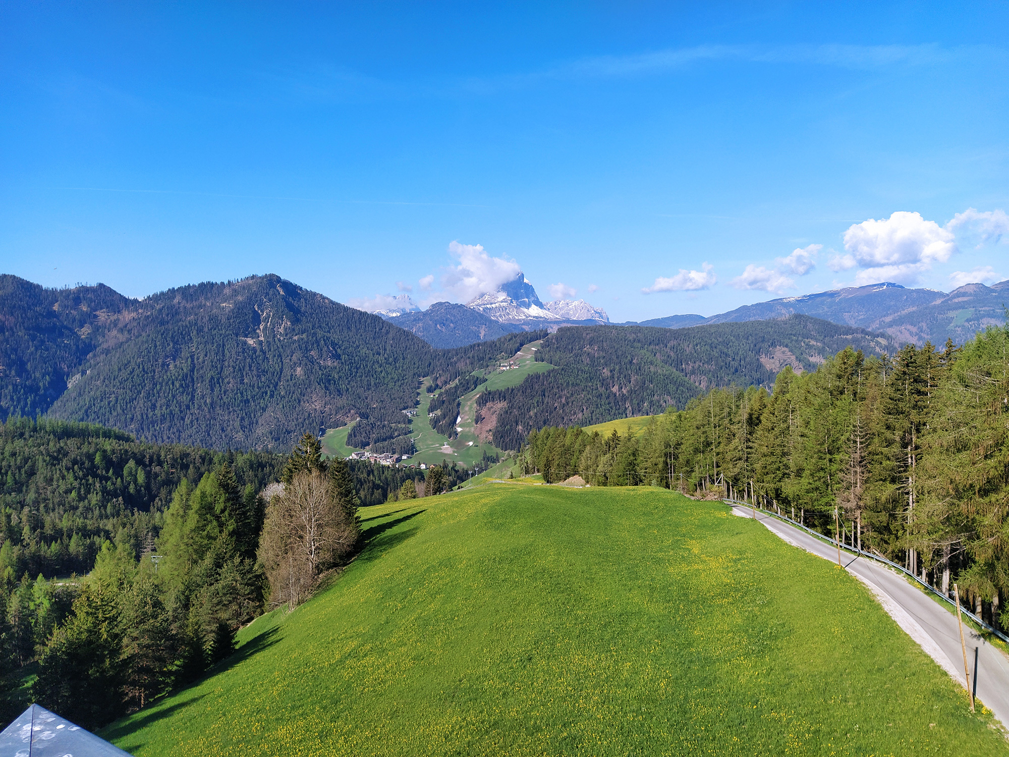 terapia forestale italia