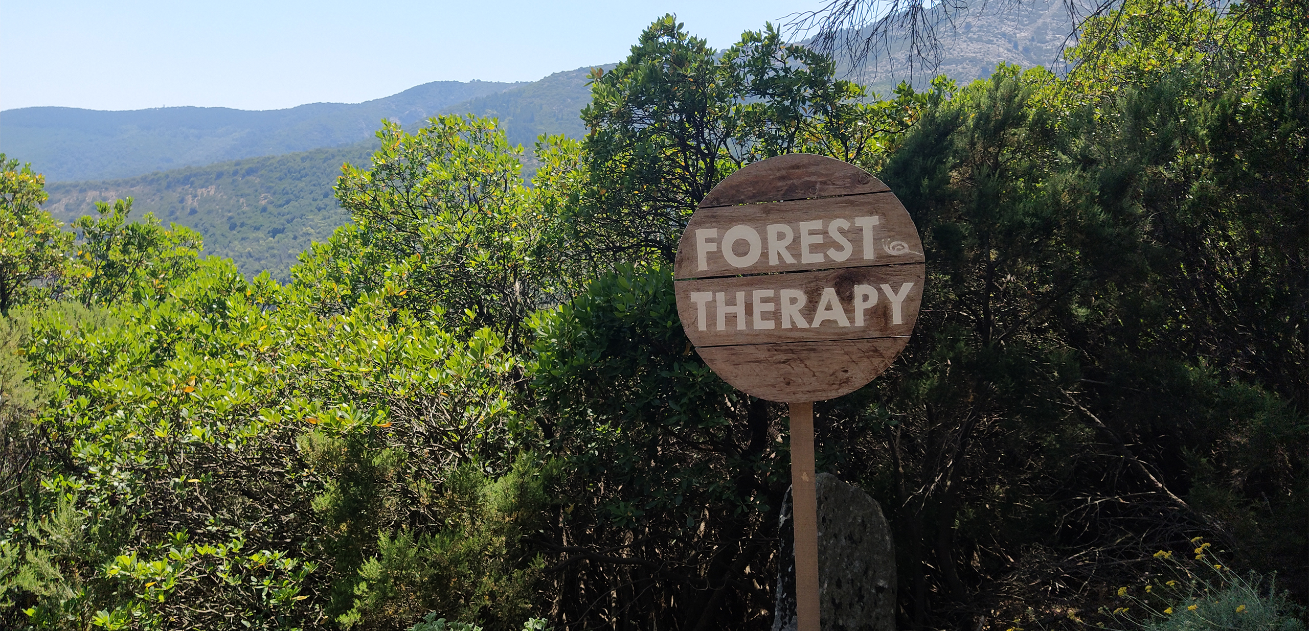 terapia forestale